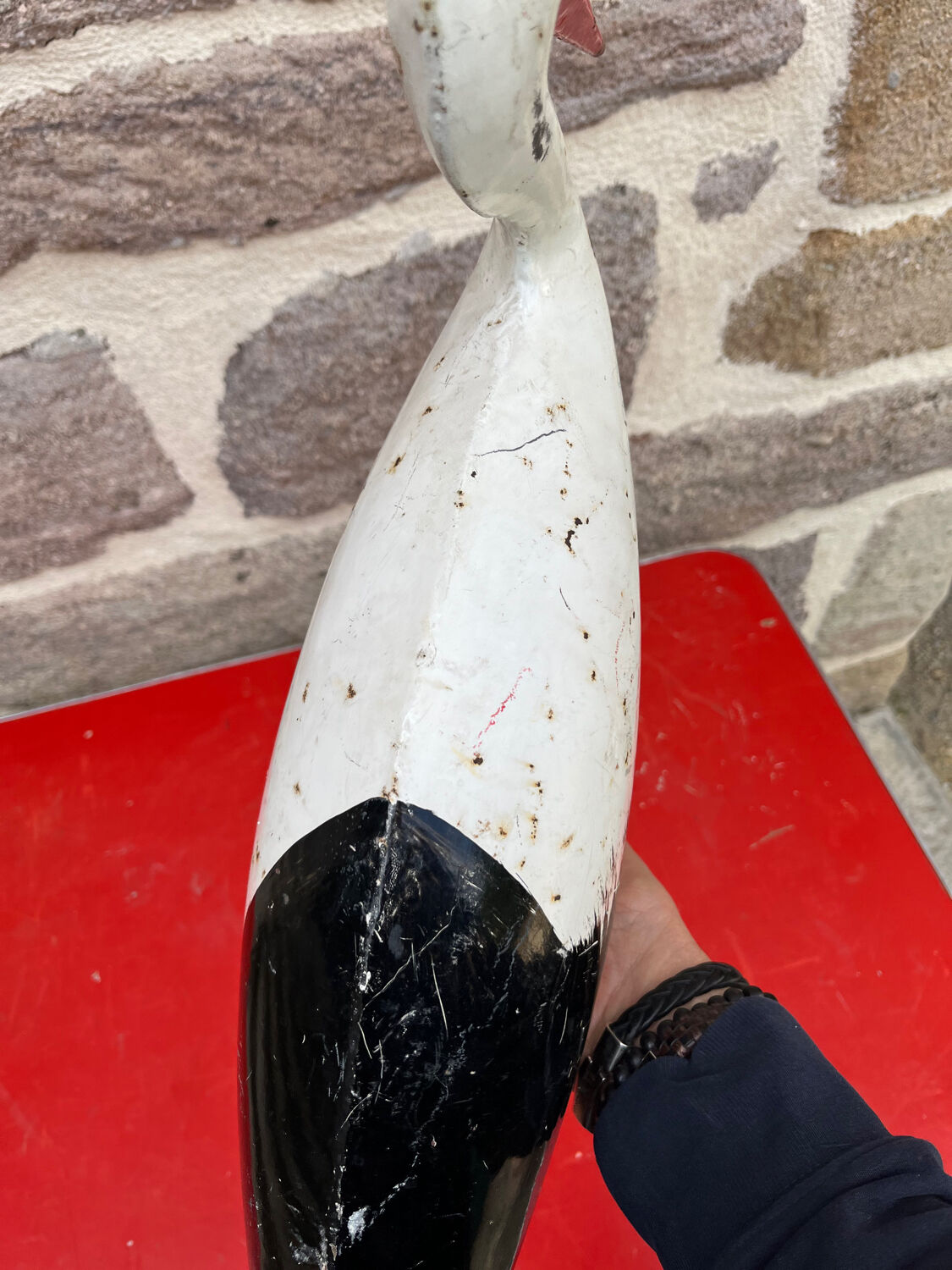 Stork plant guardian