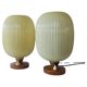 Rare Pair of Table Lamps, Glass and Wood, 1960s