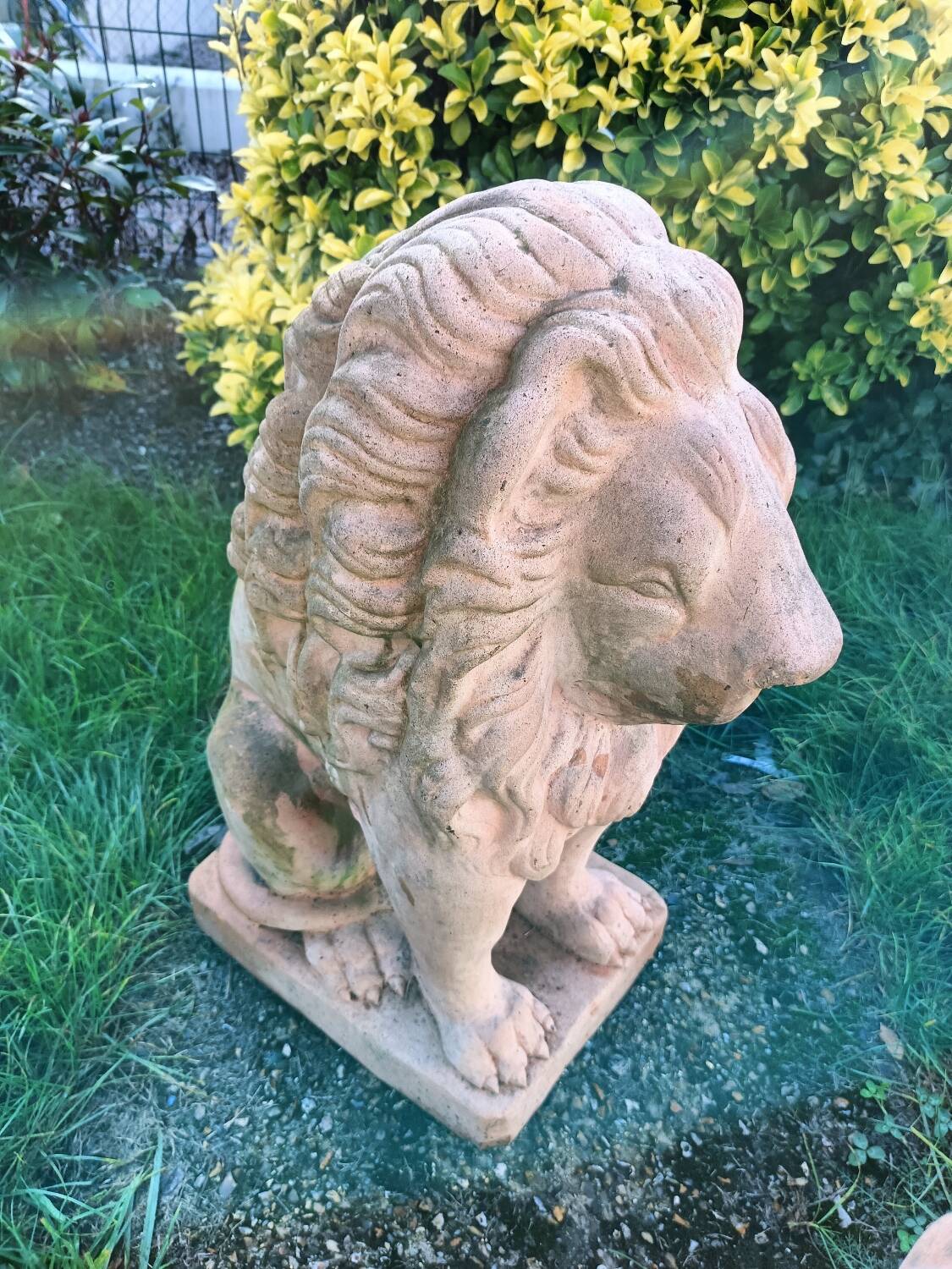 Pair of old terracotta garden lions