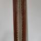 Sawfish rostrum