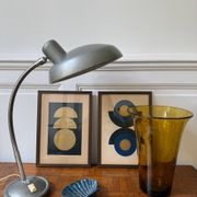 Industrial metal workshop lamp with a gooseneck.