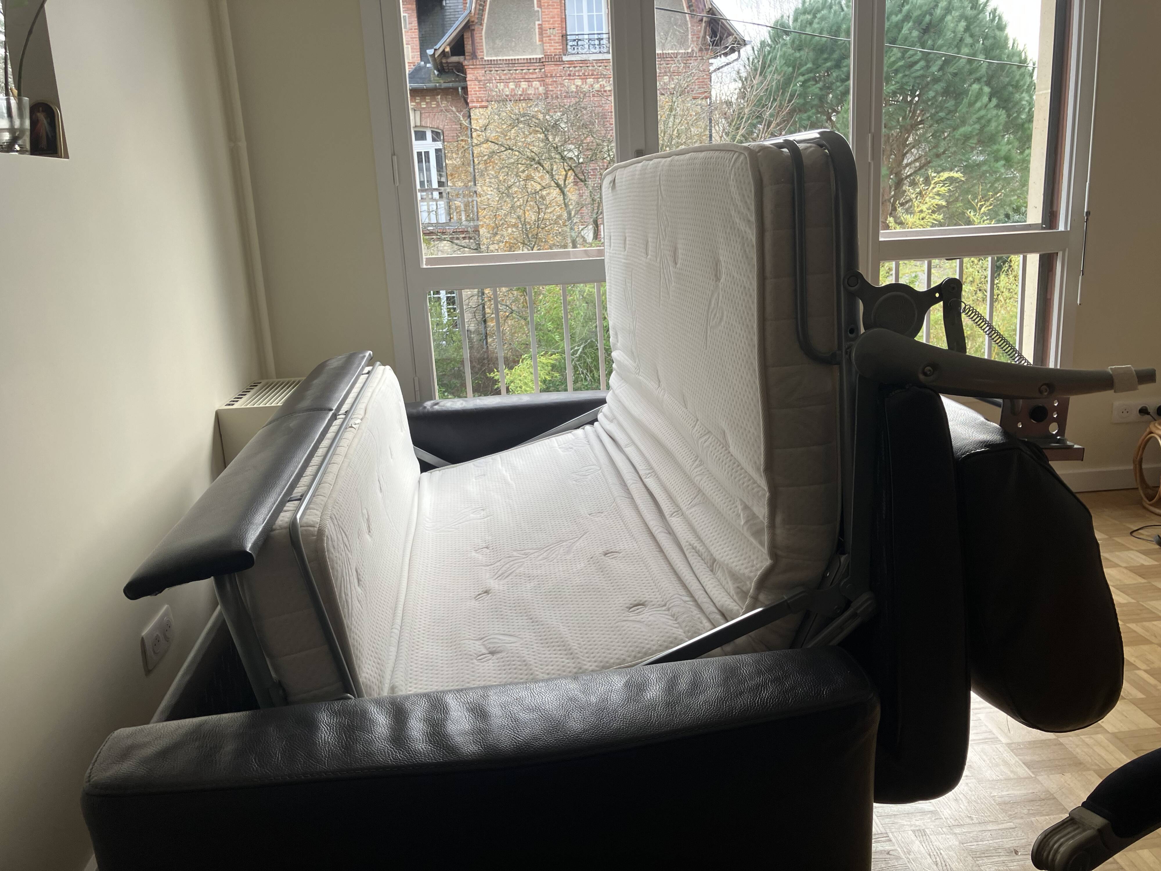 Seiner convertible sofa bed
