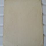 The rooster, reading image