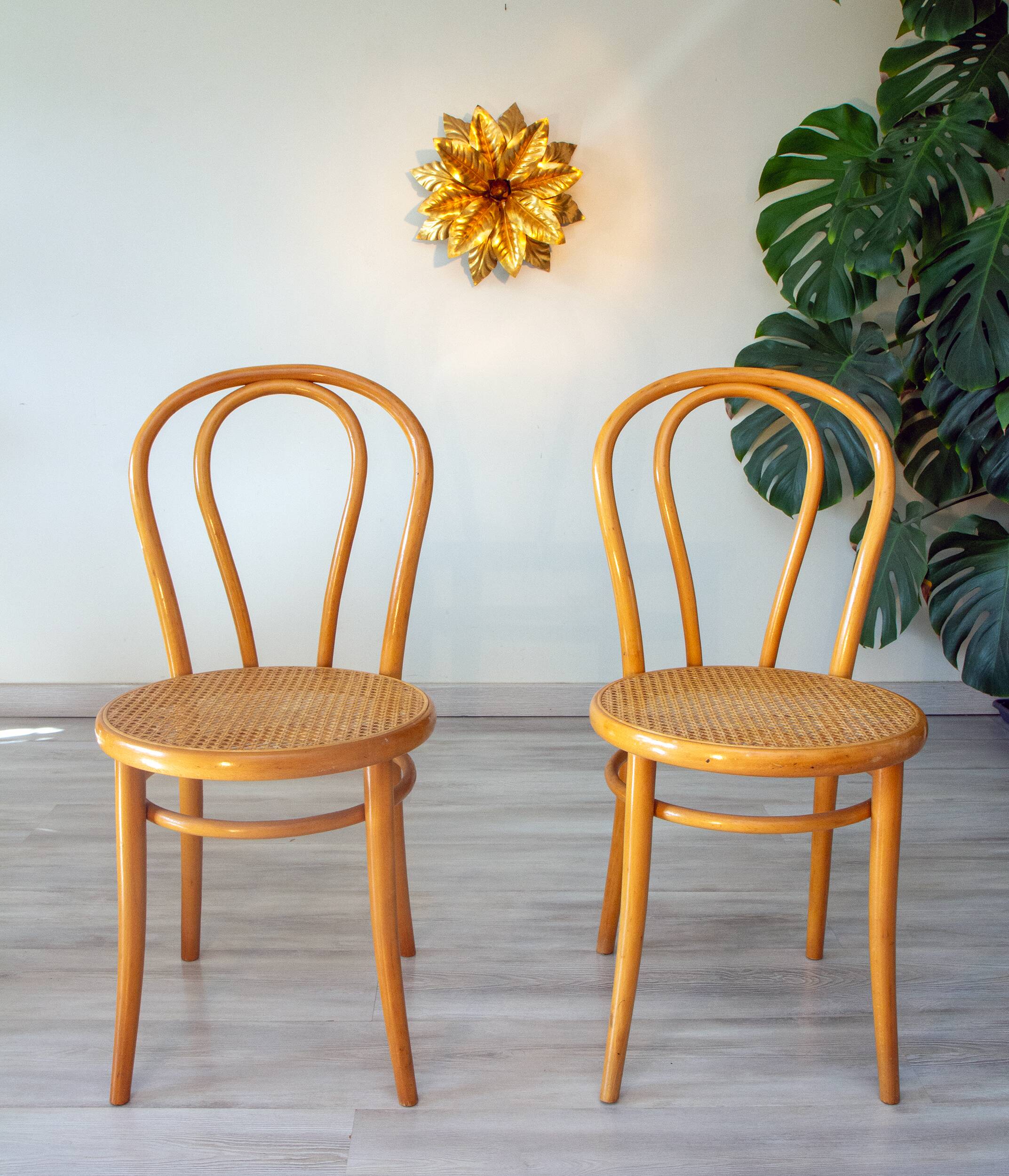 Pair of 1970s bistro chairs in bentwood and caning.