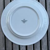 Villeroy and Boch plate