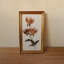 Herbier