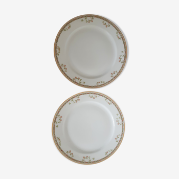 Flat plates Ninette, Limoges porcelain, Haviland