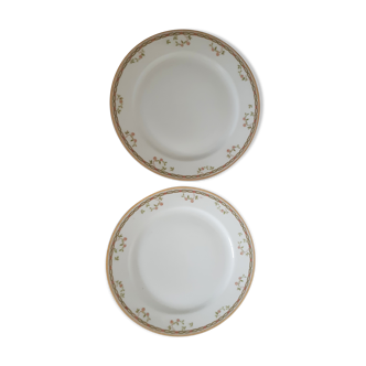 Flat plates Ninette, Limoges porcelain, Haviland