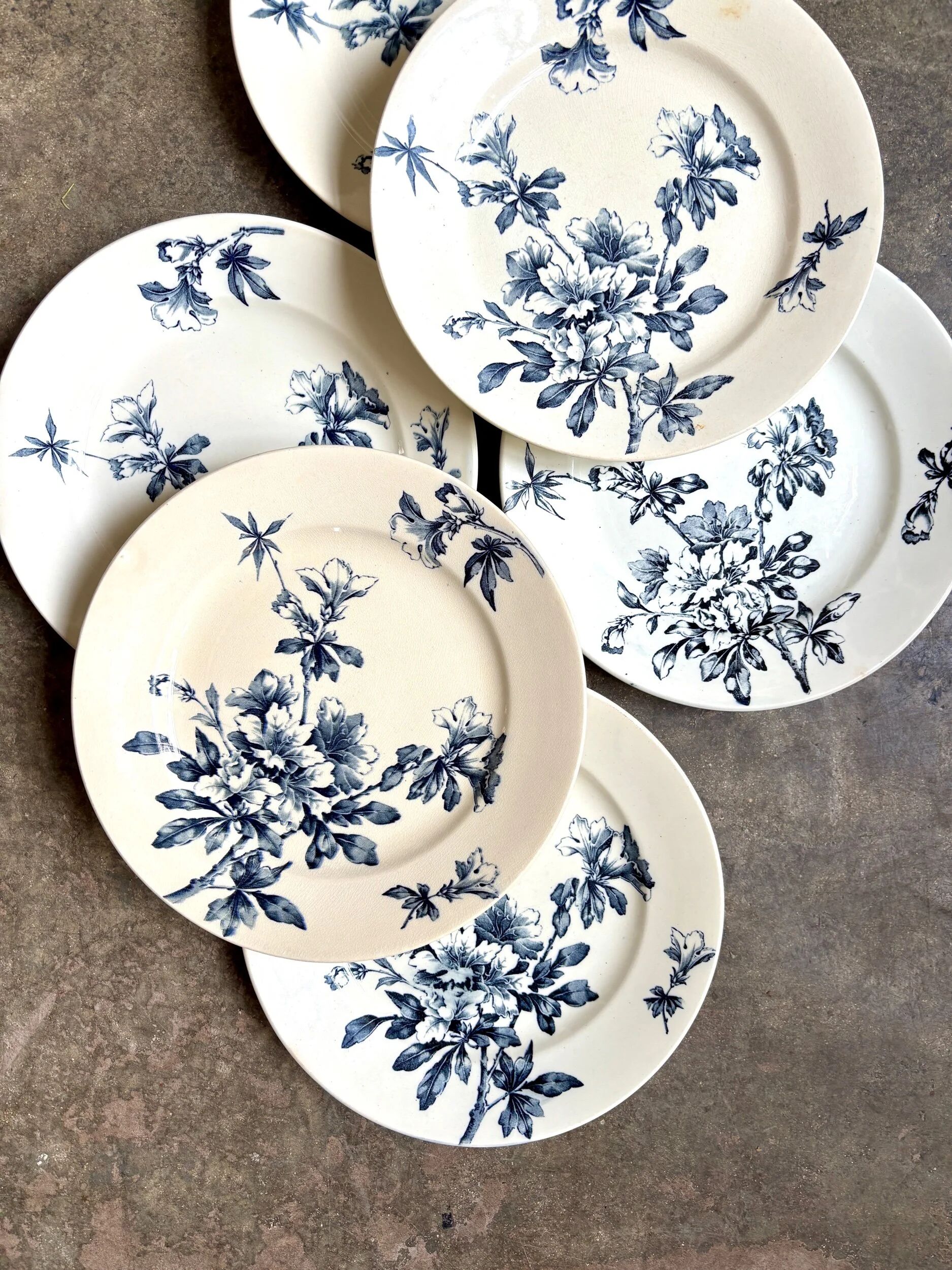 6 Lunéville flat plates in blue ironstone, "Azaléa" service