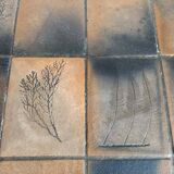 Herbarium coffee table in terracotta, Garnier style, circa 1960.