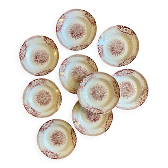 Set of 9 old ironstone hollow plates - Jardinière de Saint Amand
