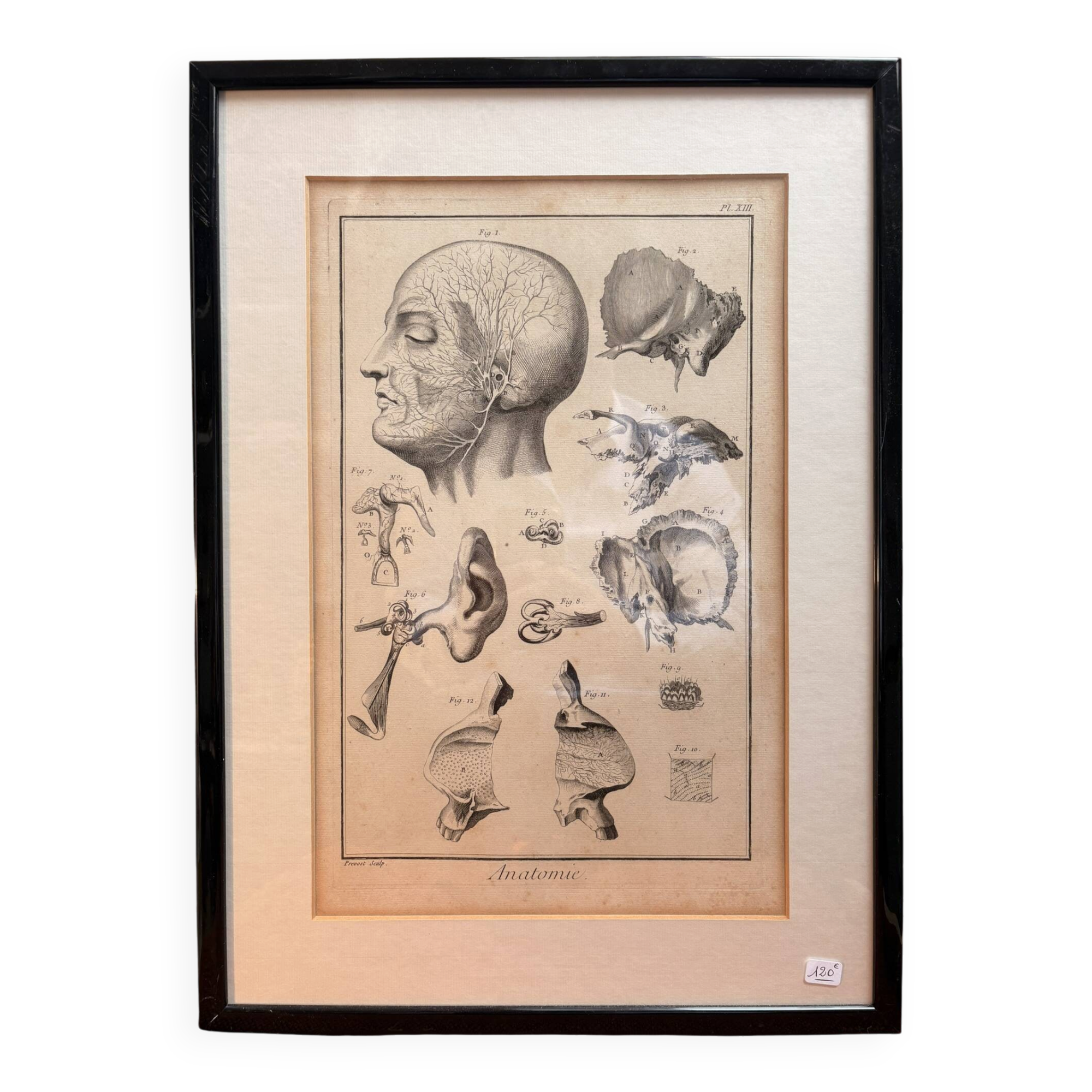 Engraving of Verney Duverney Valsava Encyclopaedia Direct Anatomy Ear