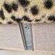 Vintage leopard print bed frame, Hollywood Regency style.