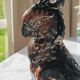Parrot ashtray