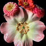 Pair of flower girls