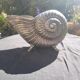Nautilus tin champagne bucket