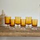 6 LUMINARC amber "rider" glasses