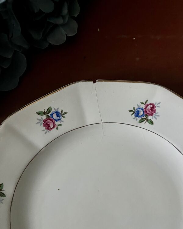 Assiettes et plat en véritable opaque Digoin Sarreguemines