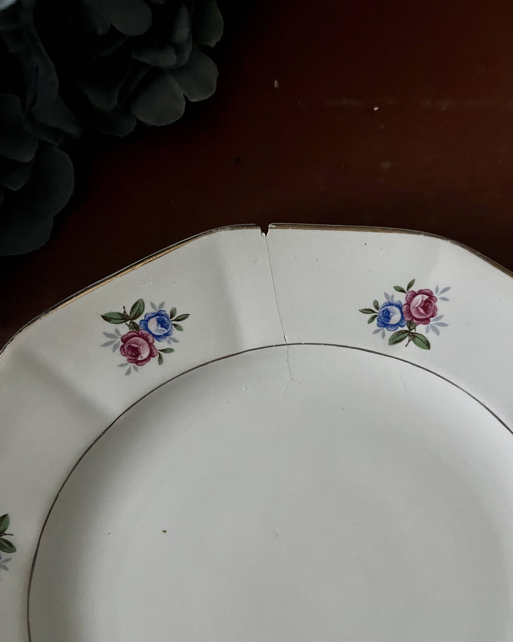 Assiettes et plat en véritable opaque Digoin Sarreguemines