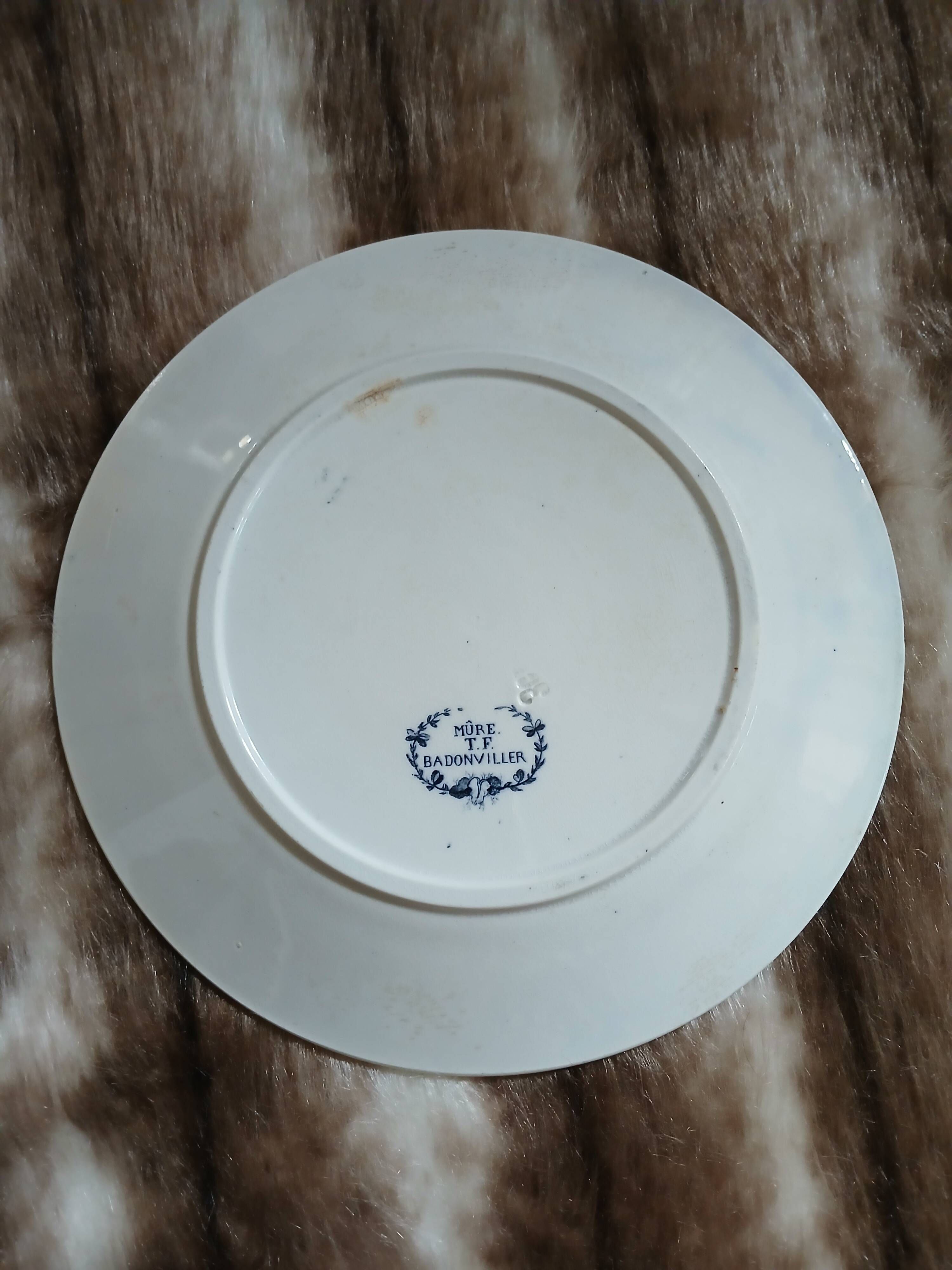 6 antique flat plates in ironstone