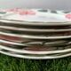 6 dessert plates Wild Rose de Villeroy and Boch
