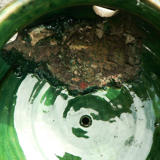 details on old bulb pot in glazed earthenware