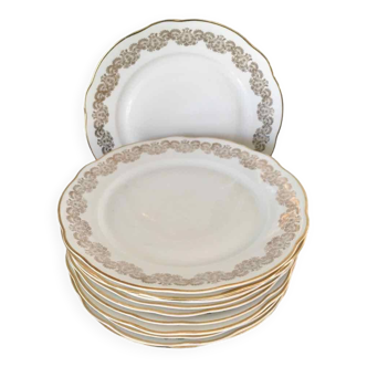 10 white and gold porcelain dinner plates