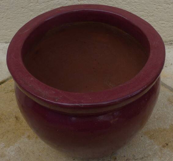 Garnet-colored terracotta flowerpot