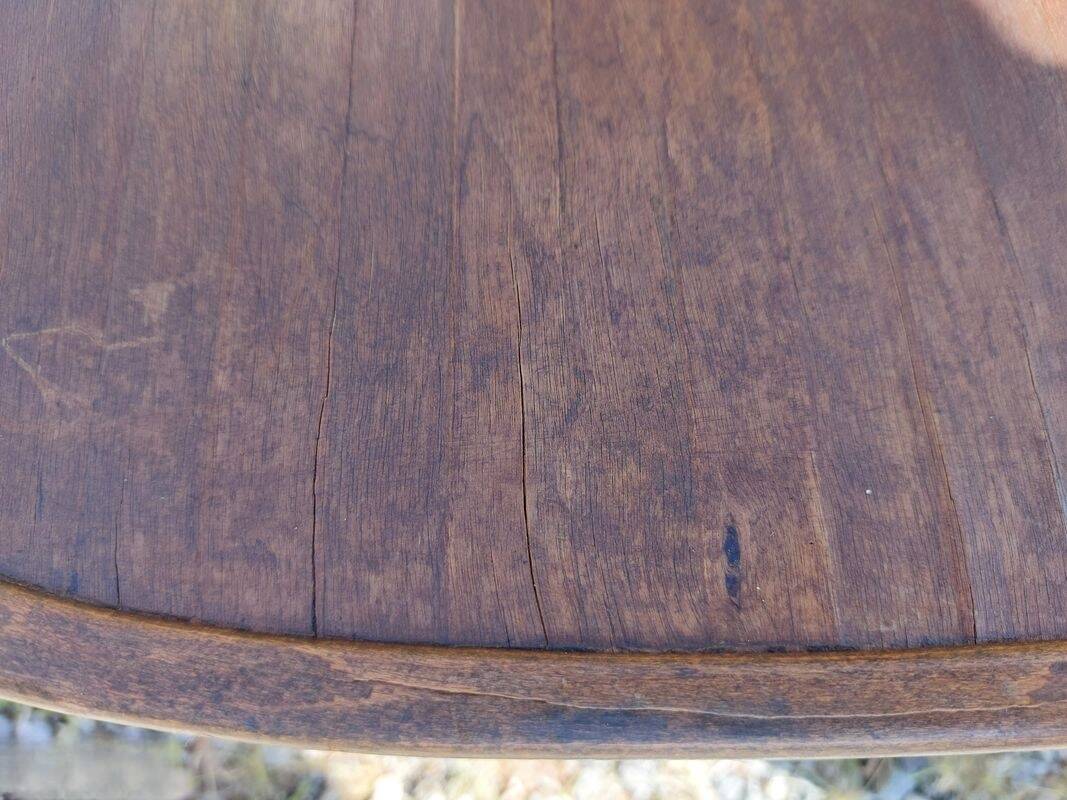 4 Baumann armchairs in bent wood