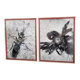 Pair of old silver photographs of insects S Celebonovic