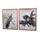 Pair of old silver photographs of insects S Celebonovic