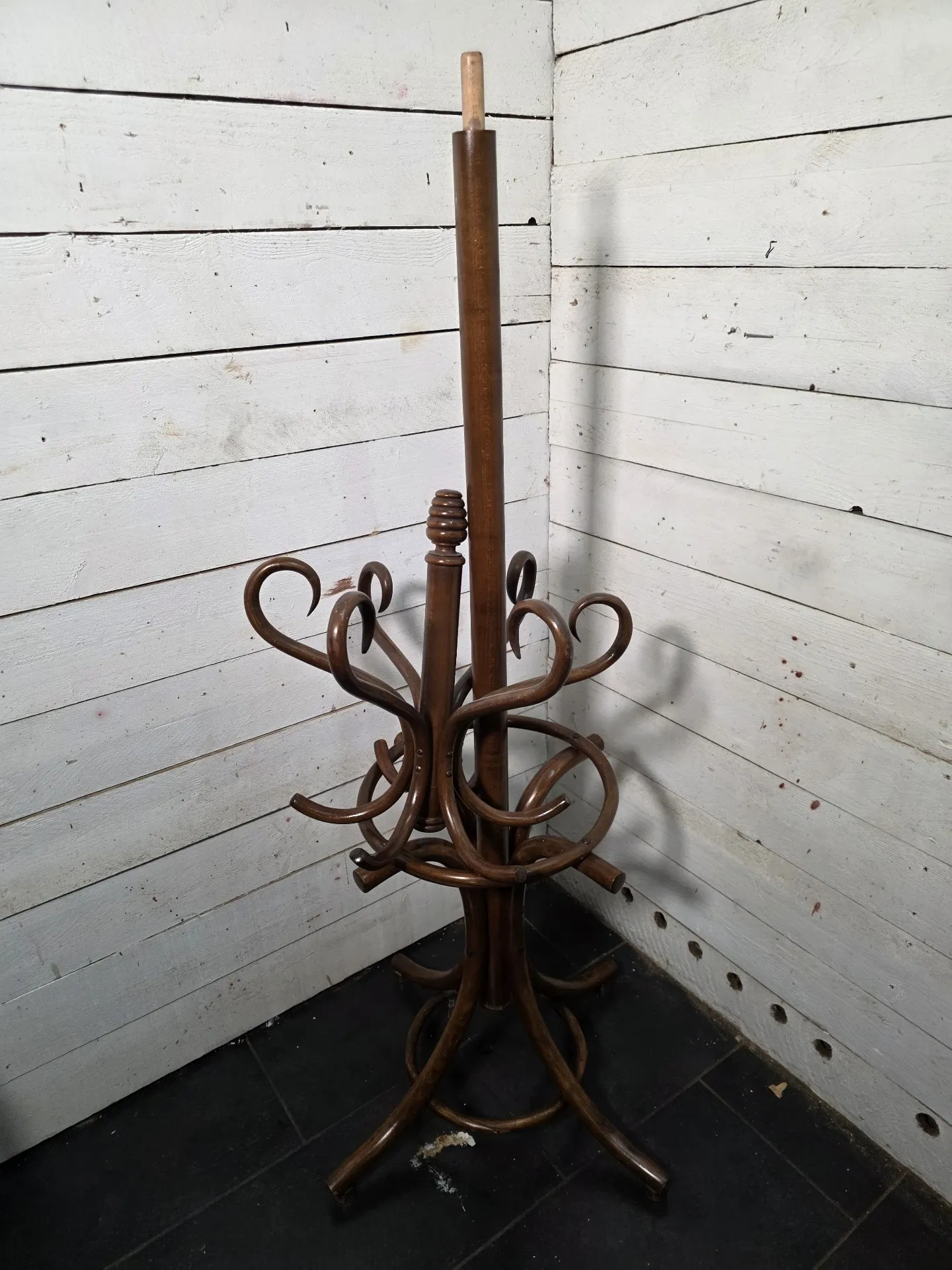 Curved antique wooden parrot