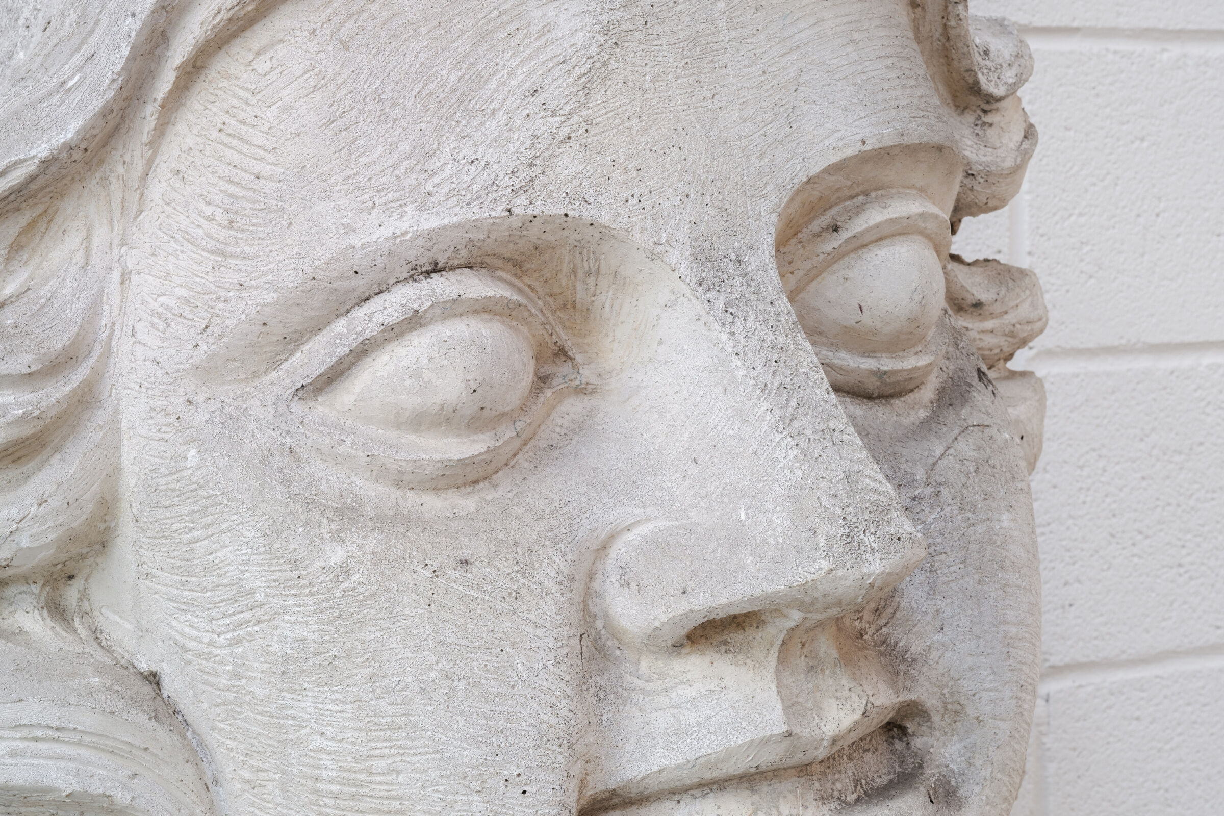 Northern giant plaster mold