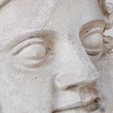 Northern giant plaster mold