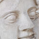 Northern giant plaster mold