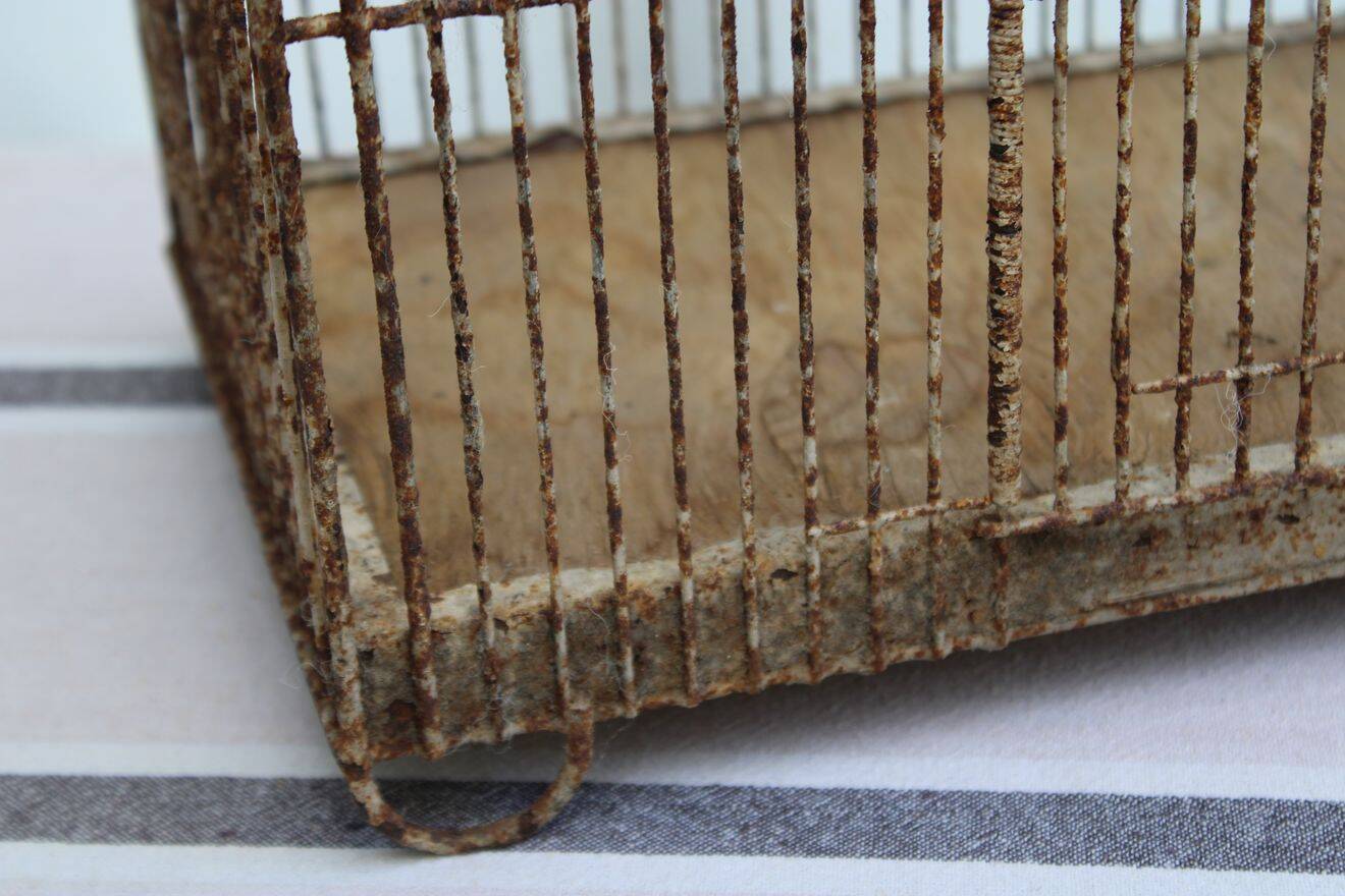 Old birdcage