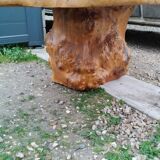 Table basse tronc d'arbre en loupe d'orme