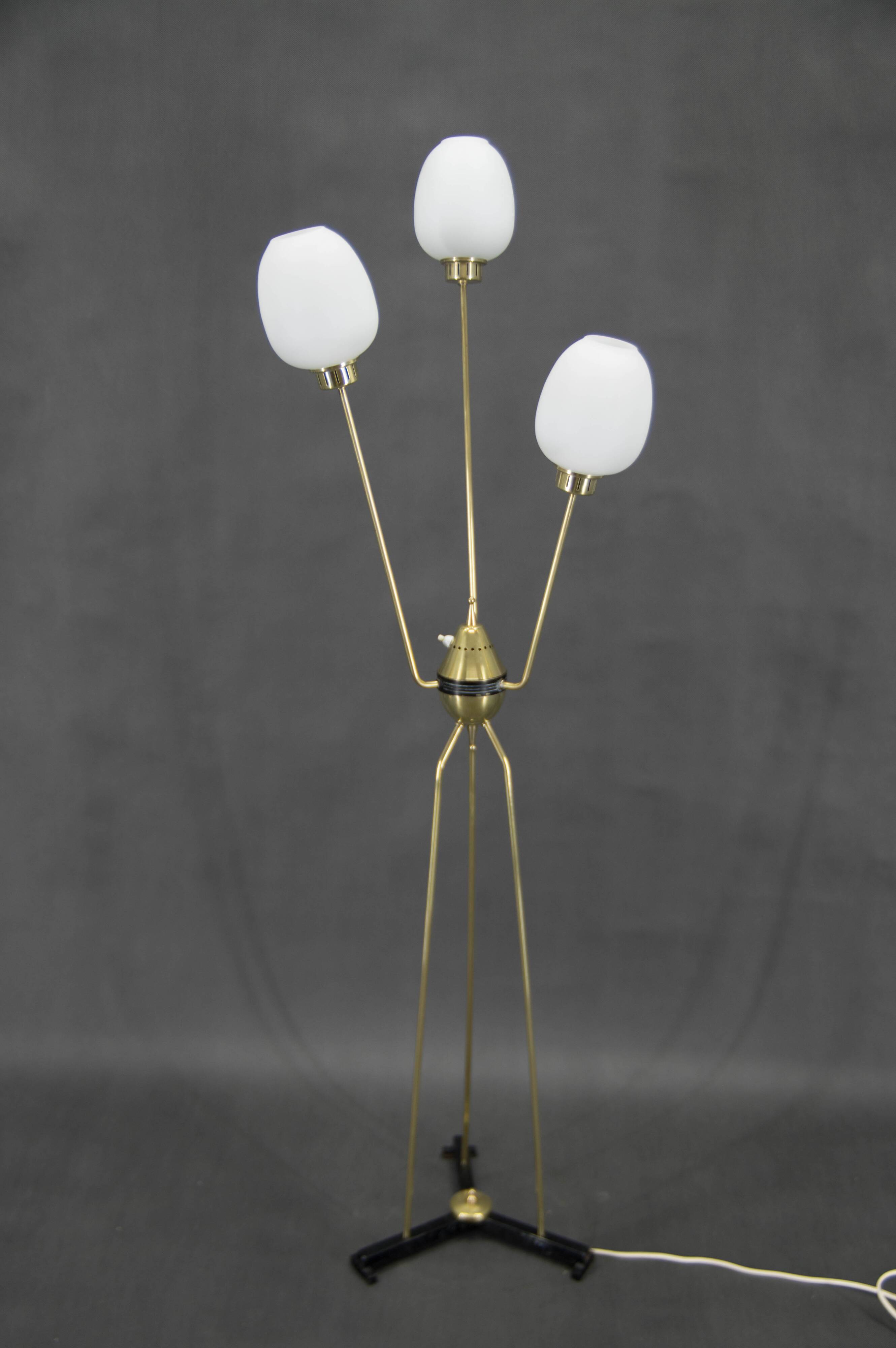 Mid-Century Floor Lamp, Italy, 1960s