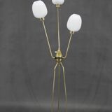Mid-Century Floor Lamp, Italy, 1960s