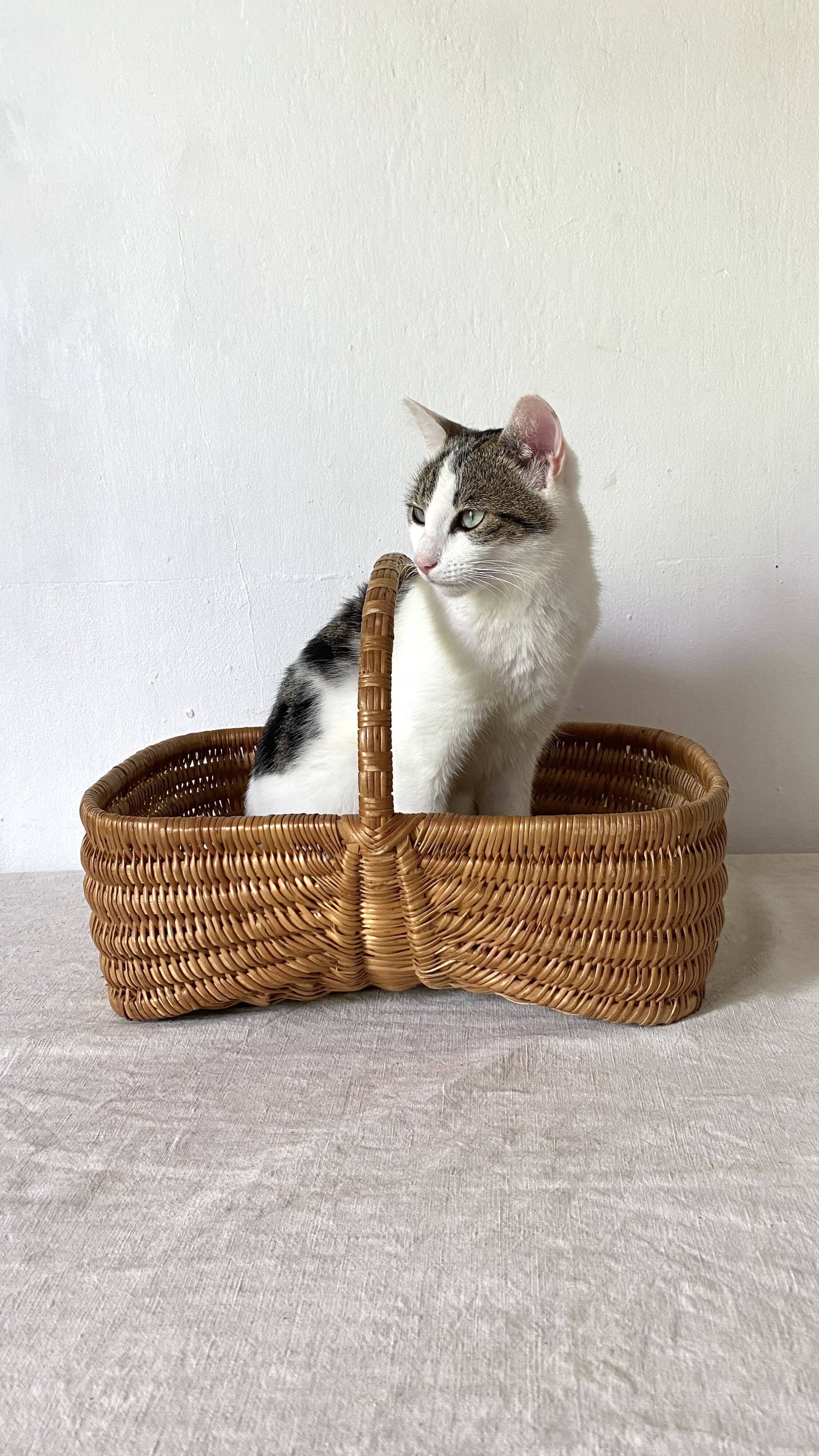 Vintage wicker basket