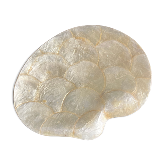 Vintage mother-of-pearl shell pocket