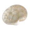 Vintage mother-of-pearl shell pocket