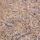 Vintage Moroccan Rug 197 x 340 cm - Berber Wool Rug - Handmade rug Bohemian