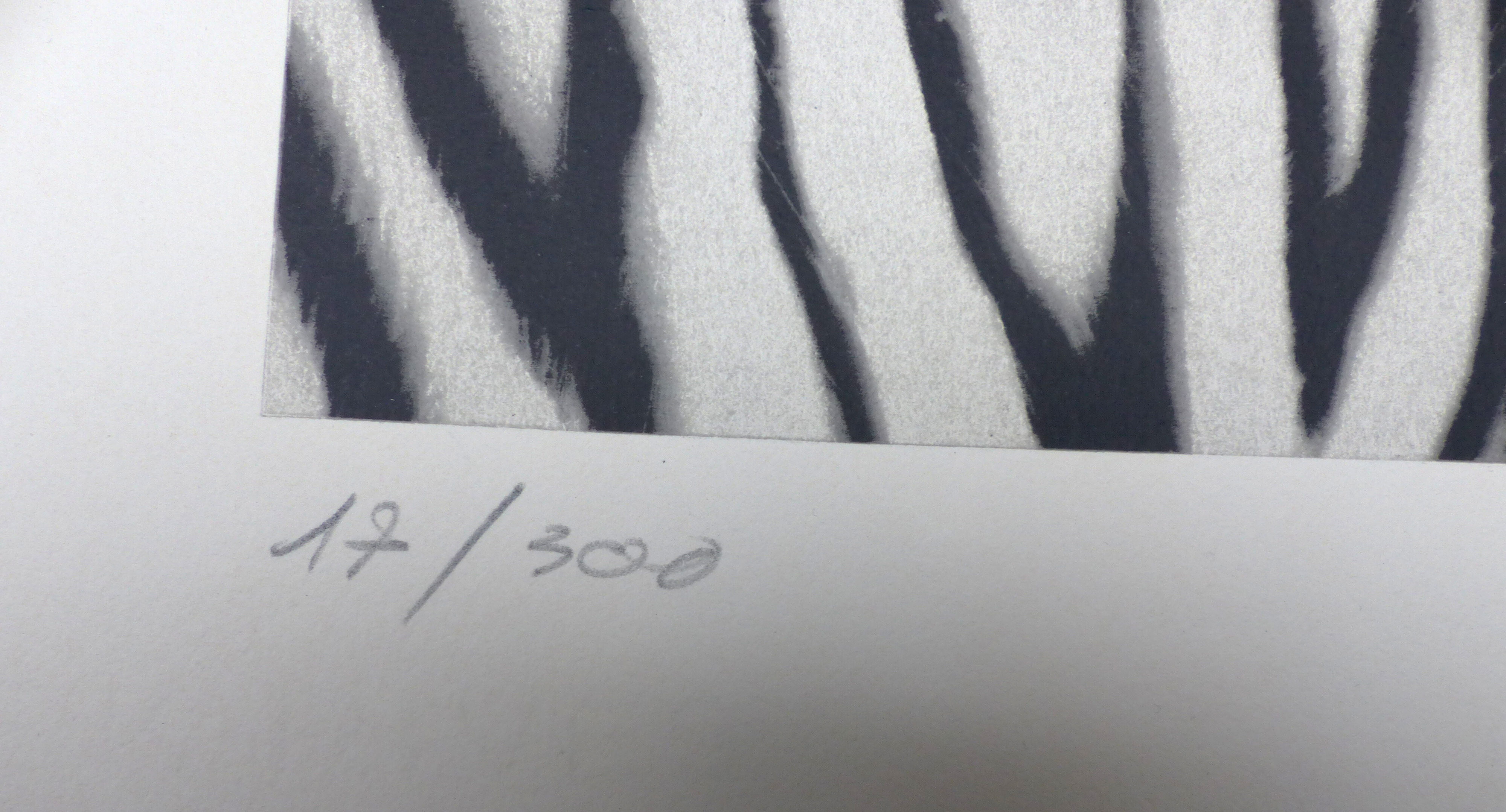 Black and white tiger signed lithograph