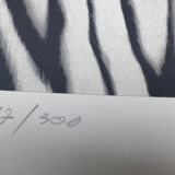 Black and white tiger signed lithograph