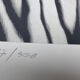 Black and white tiger signed lithograph