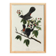 Poster about the Blackbird-Cat, based on an old engraving from 1827.