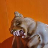 Combat des ours