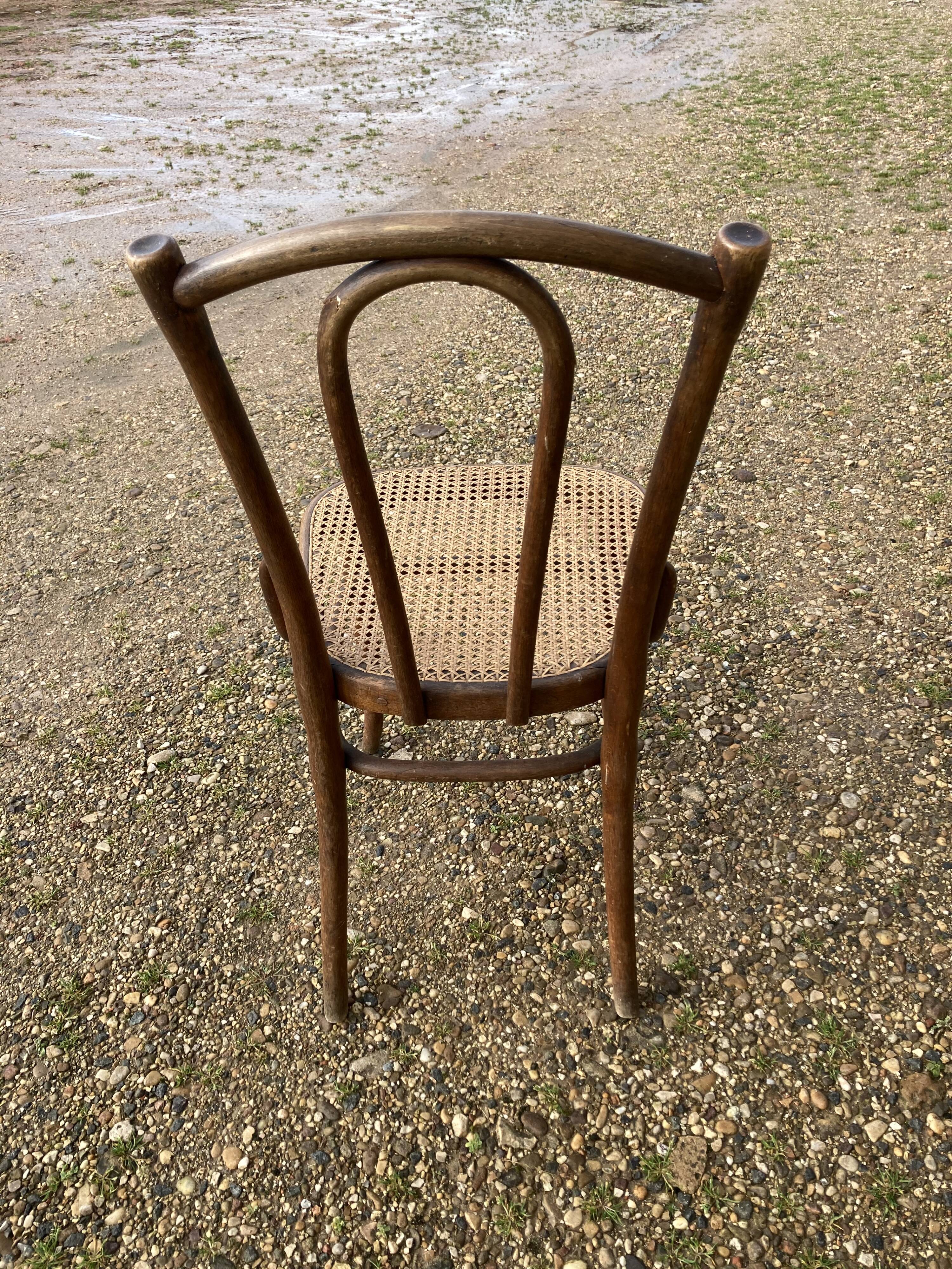 Series of 6chairs bistro Thonet