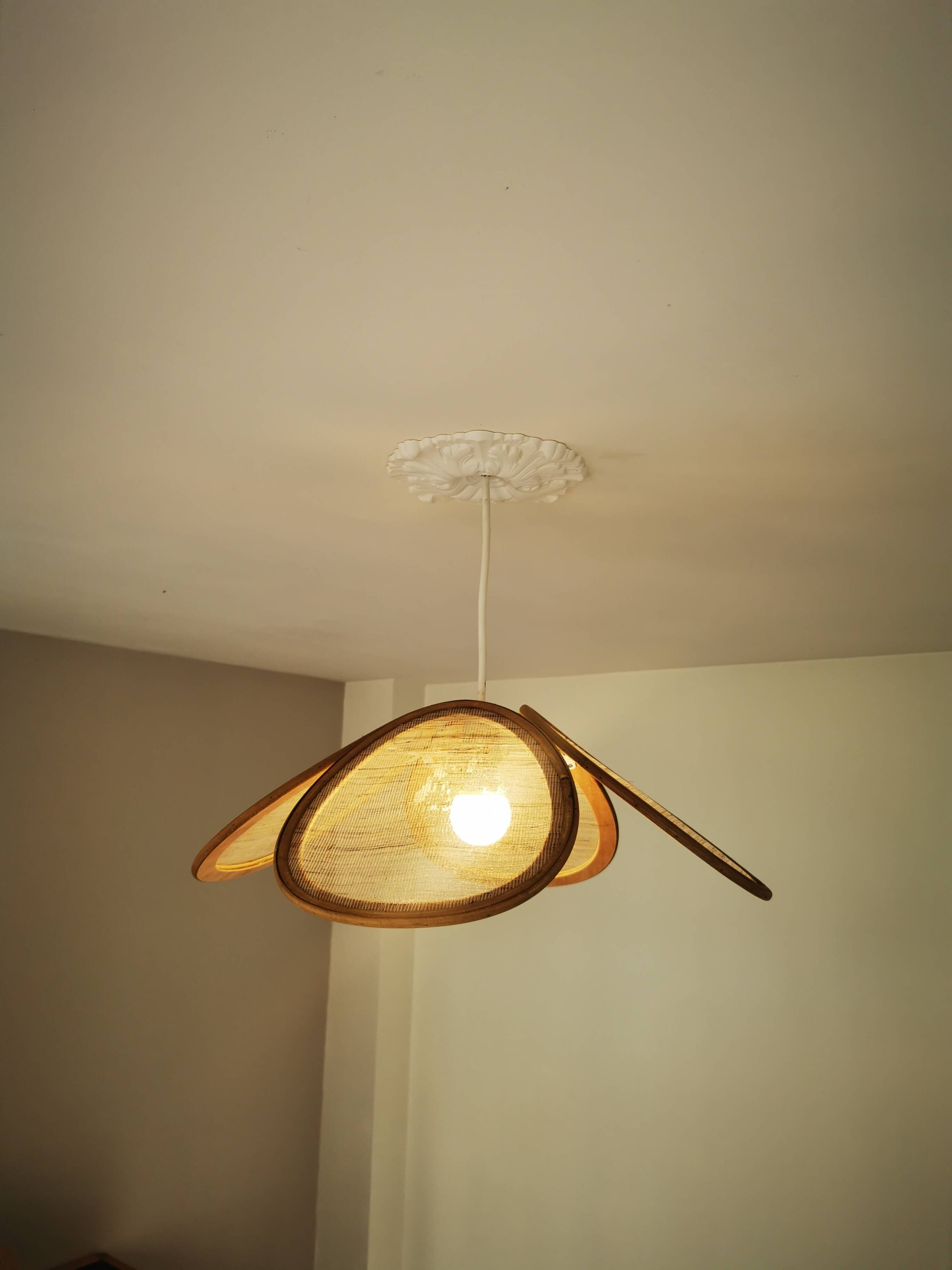 Suspension canvas and bamboo